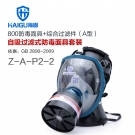 海固HG-800 Z-A-P2-2防毒面具套裝