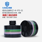 海固Z-K-P2-2二級氨及氨的有機(jī)衍生物濾毒罐