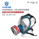 海固HG-800+HG-LV P-Hg-2全面罩水銀防毒面具