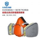 海固HG-602 P-E-1半面罩酸性氣體防毒面具