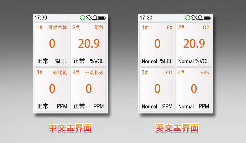 愛(ài)德克斯BX-168泵吸式氣體檢測(cè)儀11.jpg