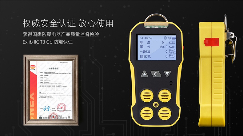 保時(shí)安BH-4A擴(kuò)散式多氣體檢測(cè)儀3.jpg