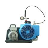 梅思安10181241空氣壓縮機MSA100TE三相電機充氣泵